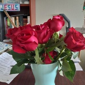 Meet your Posher, Nancy